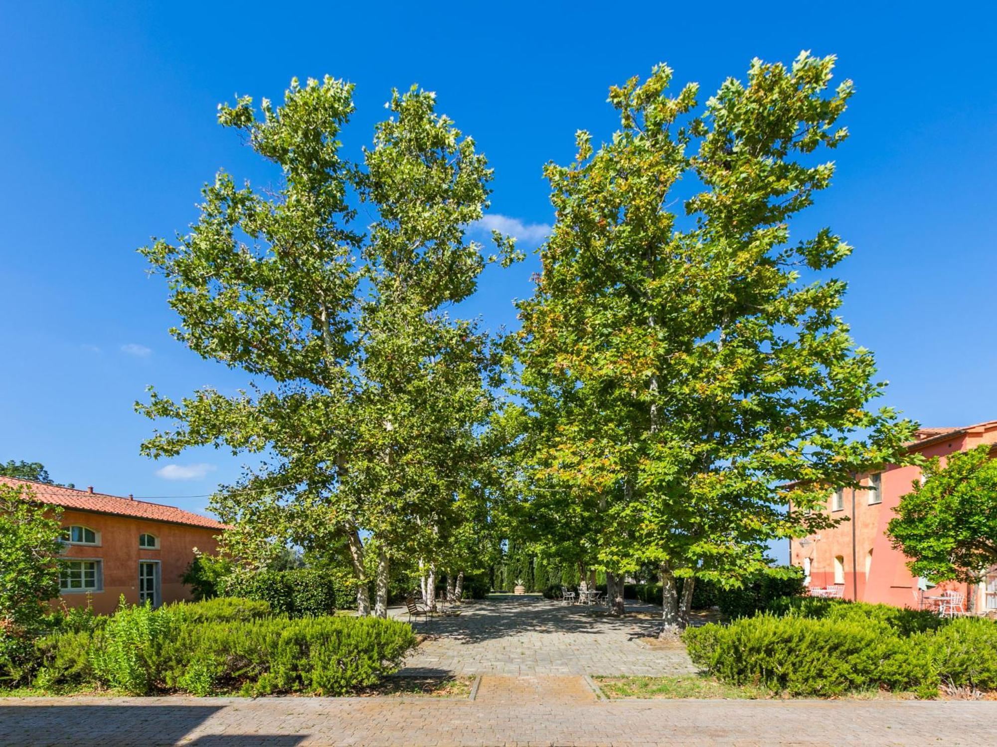 Apartment Quercia Alta By Interhome Le Case Eksteriør bilde